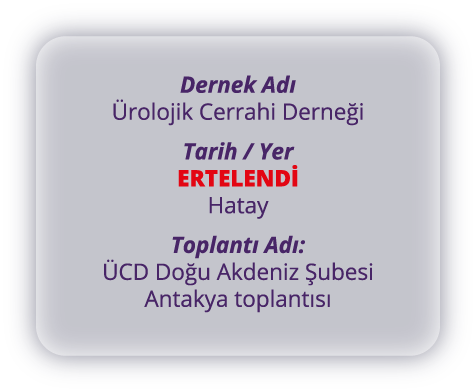 Ulusal Kongre p2
