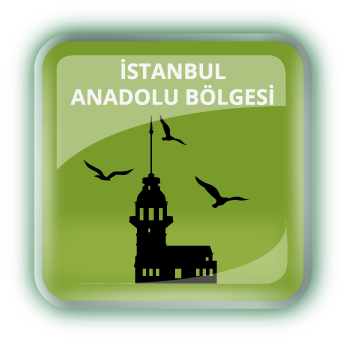 bolge_istanbul_anadolu