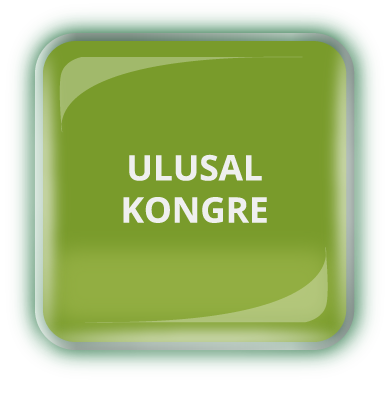 Ulusal Kongre